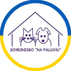 Schronisko na Paluchu